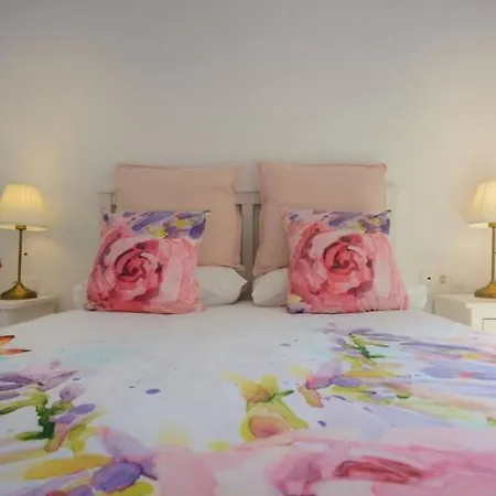 Flateli Lorenzana 17